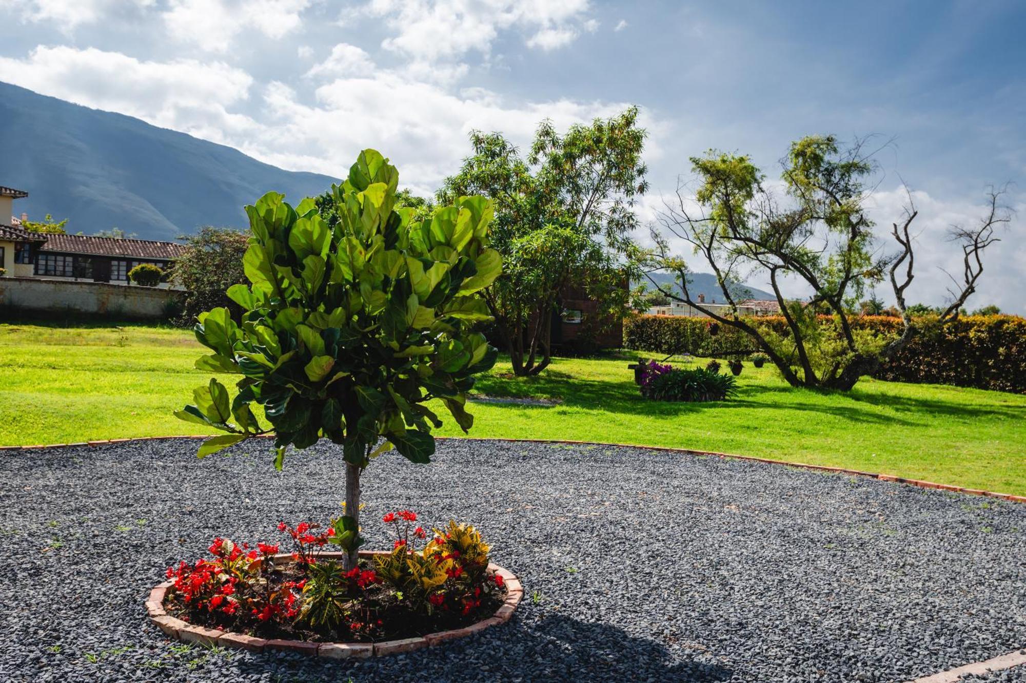 Casa De Las Flores Villa de Leyva Kültér fotó